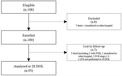 Early Protein Intake Influences Neonatal Brain Measurements in Preterms: An Observational Study